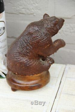 Antique hand Black forest wood carved swiss bear statue REUGE music box