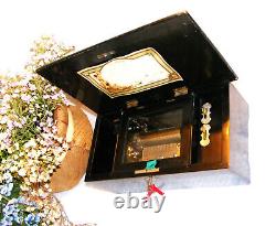 Small Mahogany 6 Air Music Box In Working Order Watch The View Video