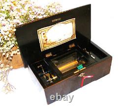 Small Mahogany 6 Air Music Box In Working Order Watch The View Video