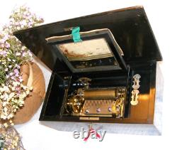 Small Mahogany 6 Air Music Box In Working Order Watch The View Video