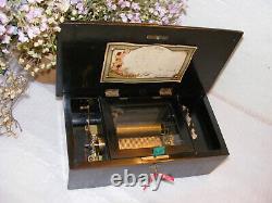 Small Mahogany 6 Air Music Box In Working Order Watch The View Video
