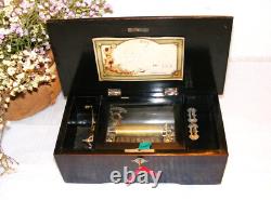 Small Mahogany 6 Air Music Box In Working Order Watch The View Video