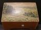 Vintage Swiss 2 Tune Thorens Wood Music Box Jewelry Casket Scenic Landscape A228